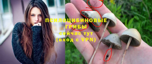 ECSTASY Белоозёрский