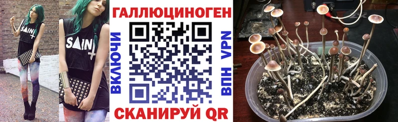 мега вход  Янаул  Псилоцибиновые грибы MAGIC MUSHROOMS 